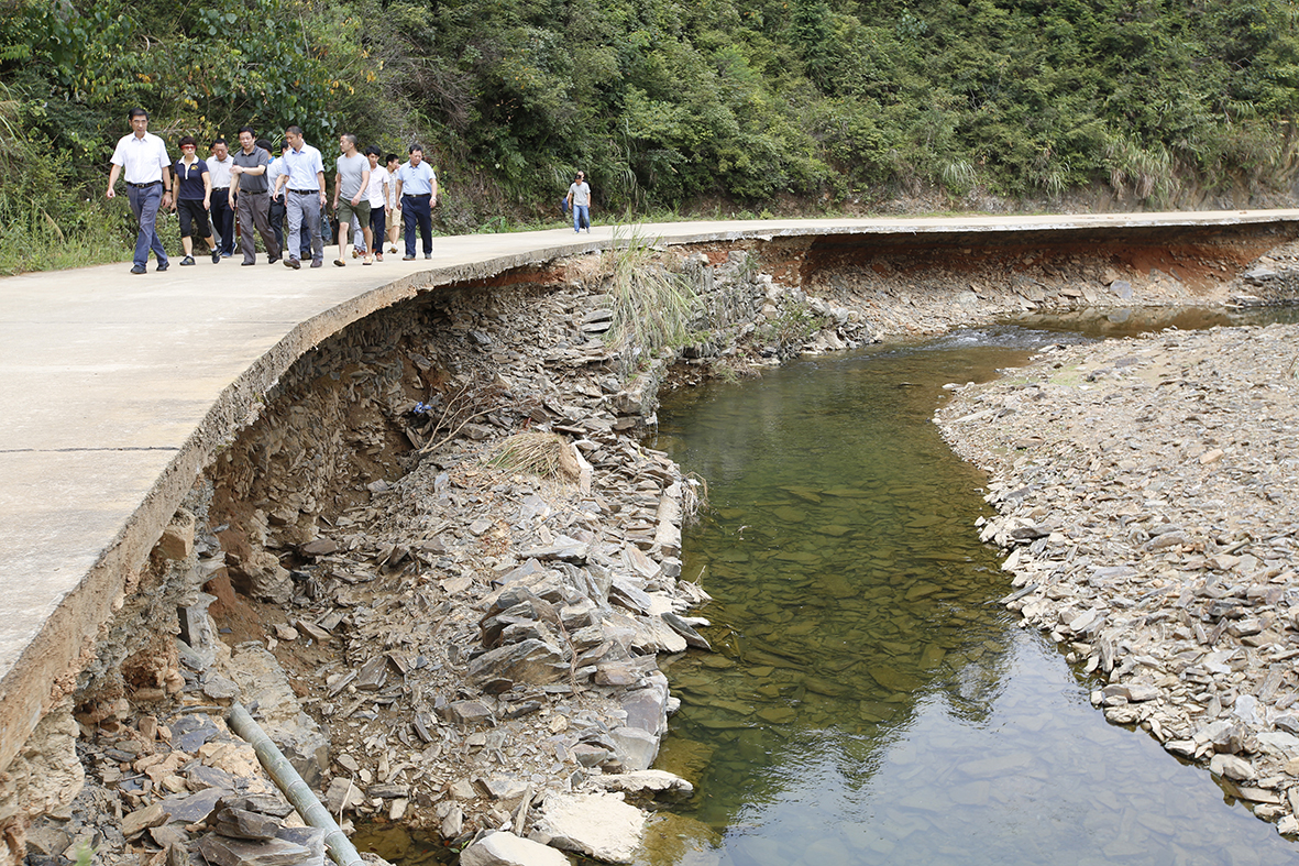 _K6A7361.jpg _K6A7361.jpg