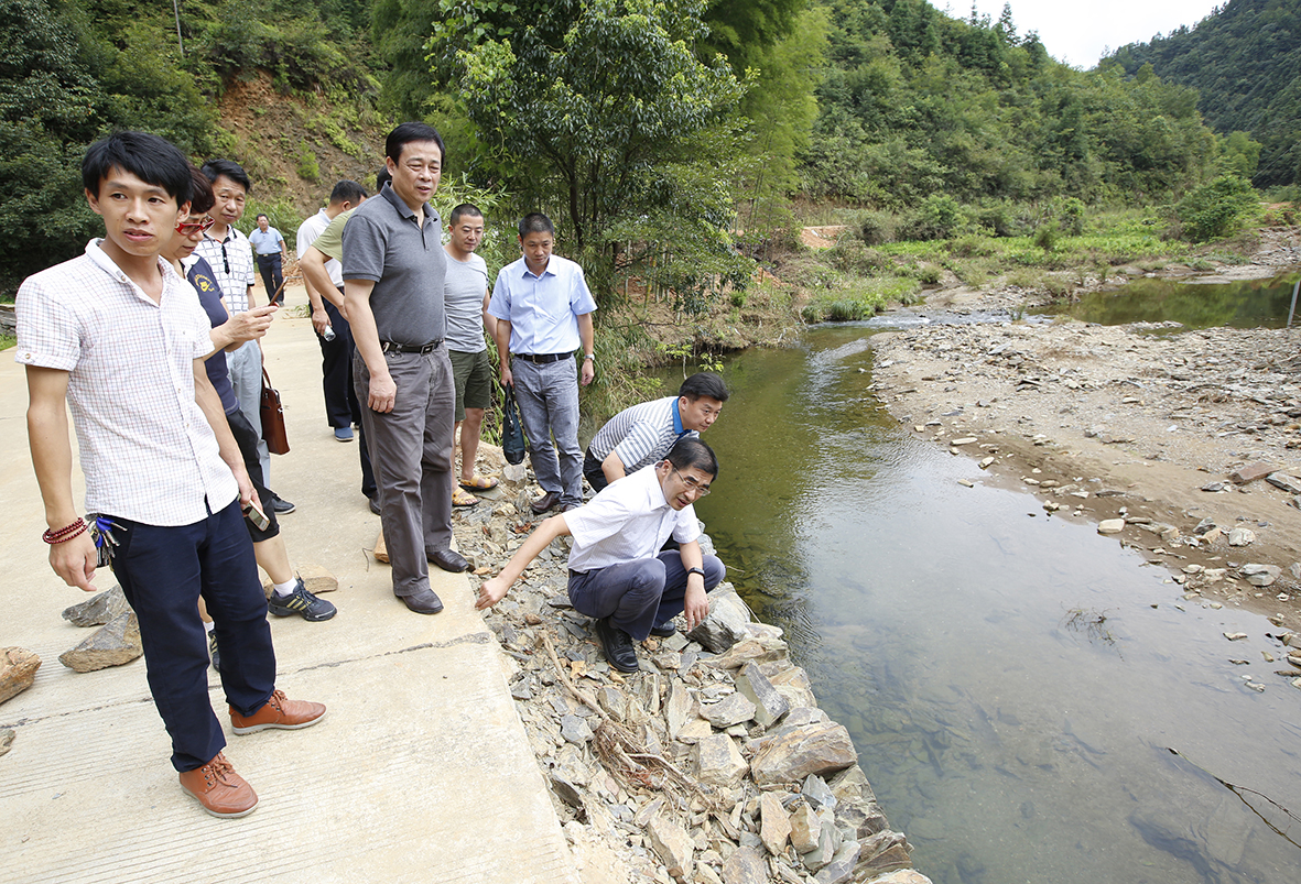 _K6A7357.jpg _K6A7357.jpg